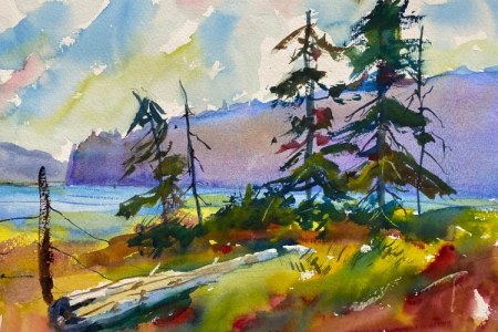 07-07-North-Bay-trees