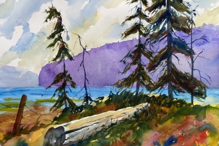 11-20-North-Bay-tree-island-a