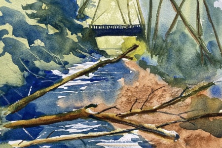 Barnes Creek near Lake Crescent Lodge