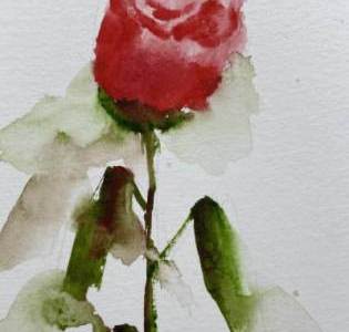 04-18-Rose-a