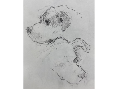 1_05-15-Boxer-2a